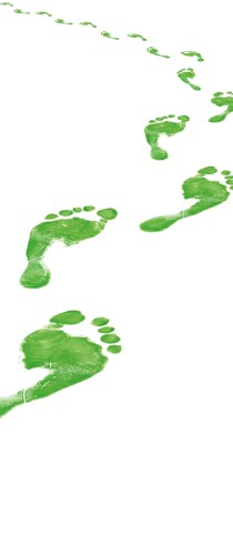 Green footprints creating winding path across white background