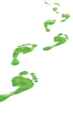Green footprints creating winding path across white background