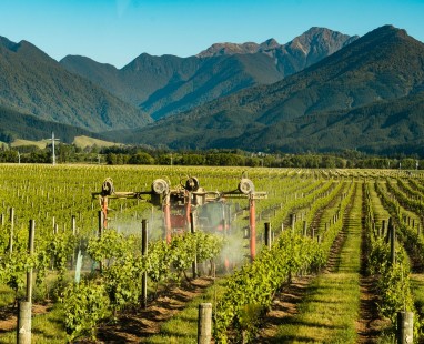 Vineyard irrigation system operating between rows of grape vines with dramatic mountain range backdrop, showcasing sustainable agricultural practices.