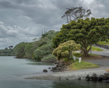 Coastal roadway curving alongside calm harbor waters with native trees and pōhutukawa growing along rocky shoreline under moody gray clouds, capturing New Zealand landscape.