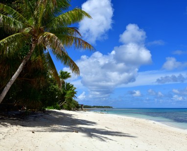 Pristine white sand beach with leaning palm trees alongside crystal-clear turquoise waters under bright blue sky with scattered clouds in Tuvalu