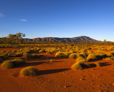 Northern Territory Desert