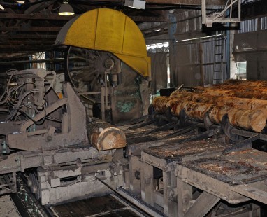 Large industrial bandsaw with yellow safety guard processing timber logs in sawmill, showcasing raw resource transformation for manufacturing.