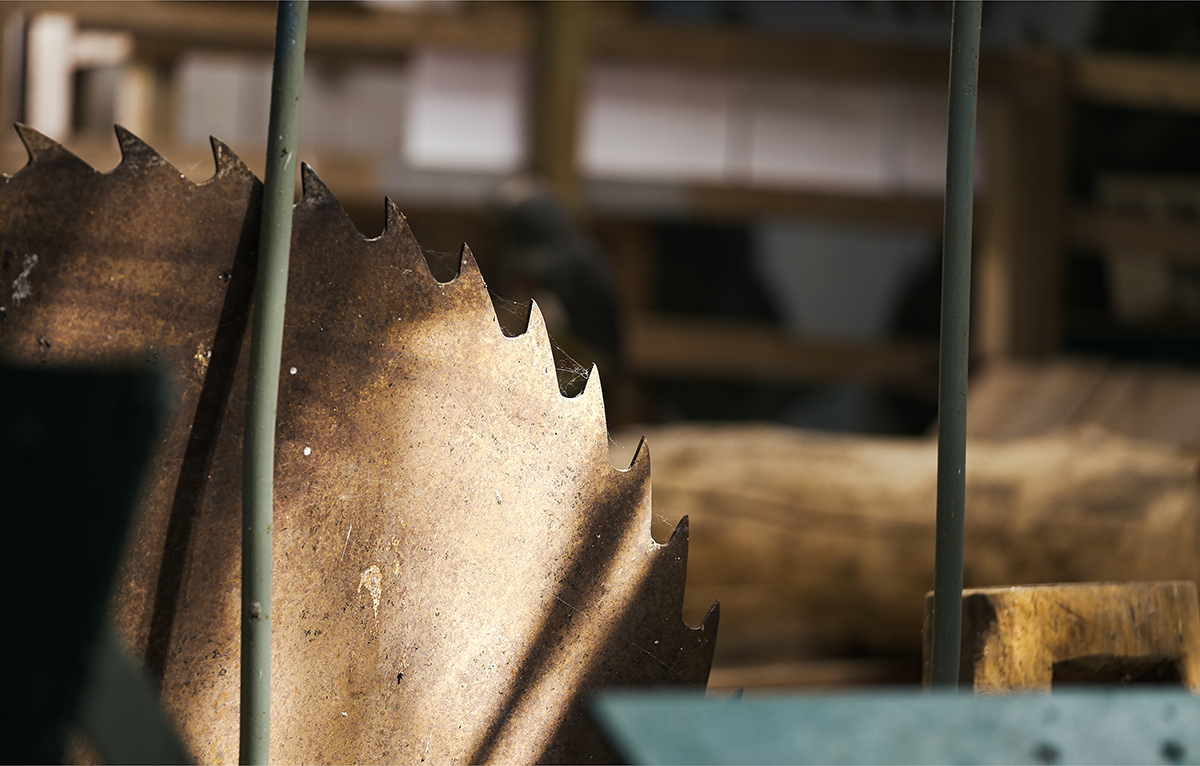 Sawmill 2
