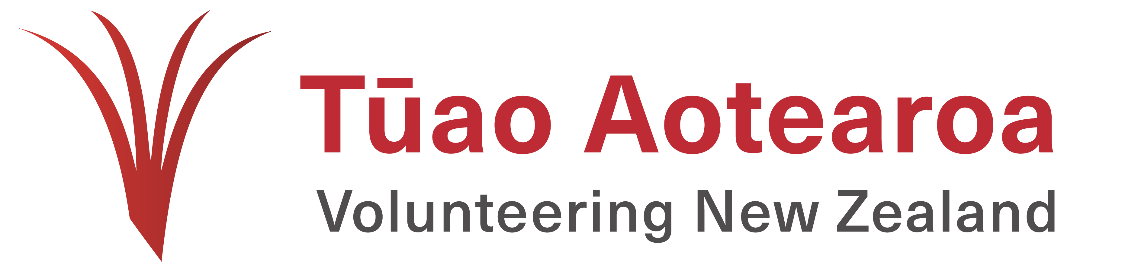 Volunteering NZ logo