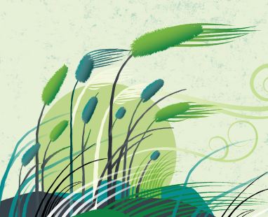 A+C WebImage Toitū Te Tiriti  1920x1280px