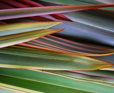 Overlapping coloured paper strips creating abstract geometric pattern
