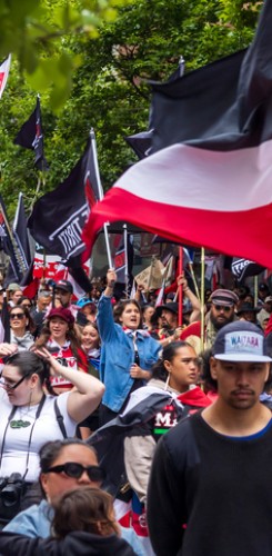 A large crowd marching through a city street, waving tino rangatiratanga flags in a public demonstration.
