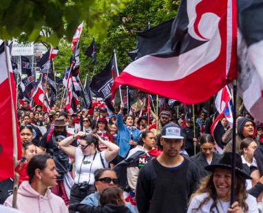 A large crowd marching through a city street, waving tino rangatiratanga flags in a public demonstration.